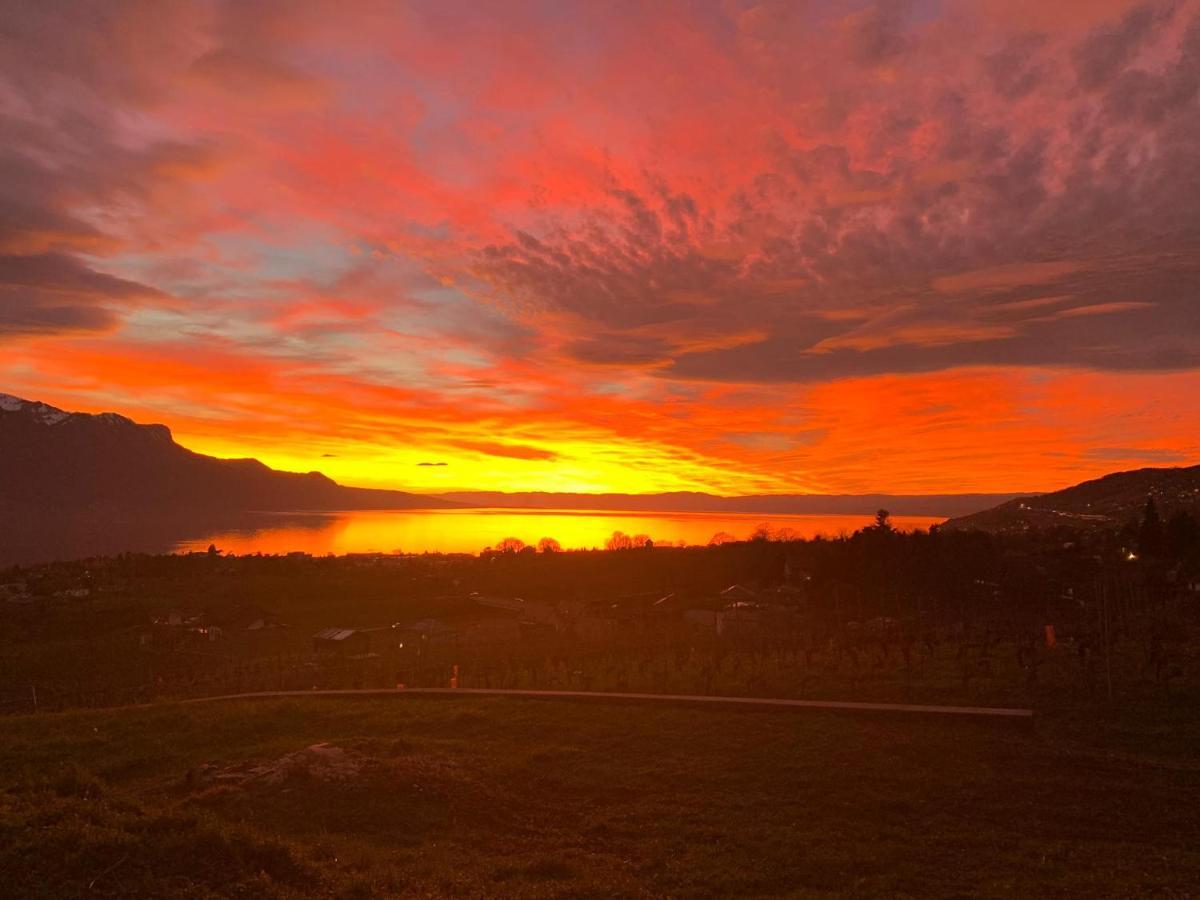 Rose Lake View Apartment Montreux Eksteriør bilde